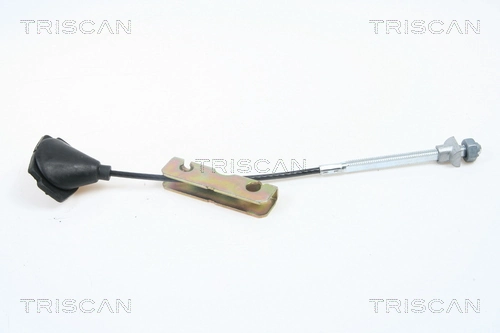 814016195 Triscan