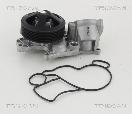 860011040 Triscan