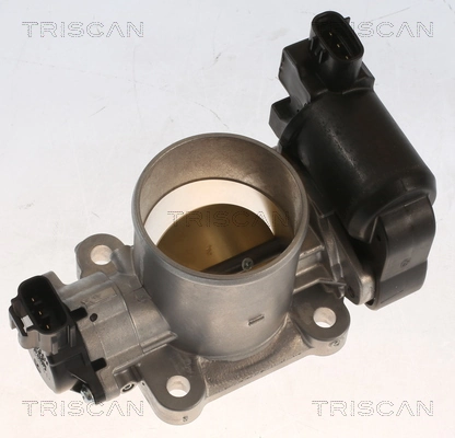 882013010 Triscan