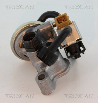 881323005 Triscan