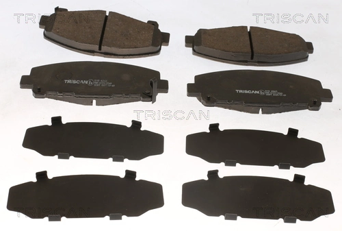 811040065 Triscan