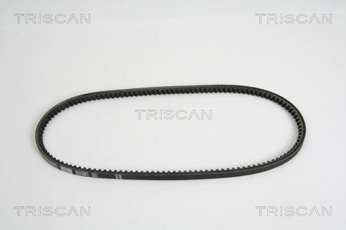 8640131000 Triscan