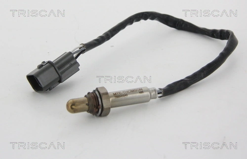 884542051 Triscan
