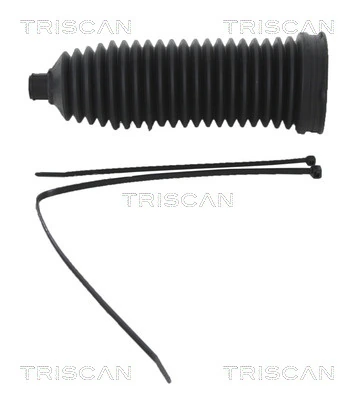 850010038 Triscan