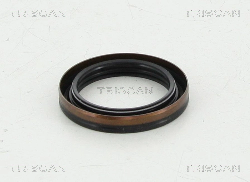 855010036 Triscan