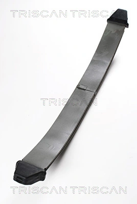 876523002 Triscan