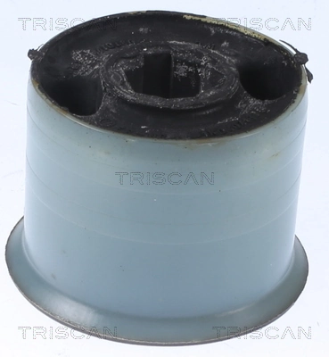 8500298071 Triscan