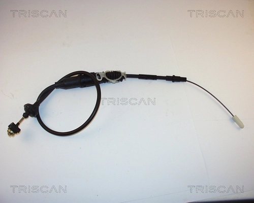 814029236 Triscan