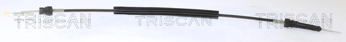 814029718 Triscan