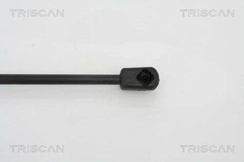 Comprar Amortiguador maletero Peugeot 407 SW 6E