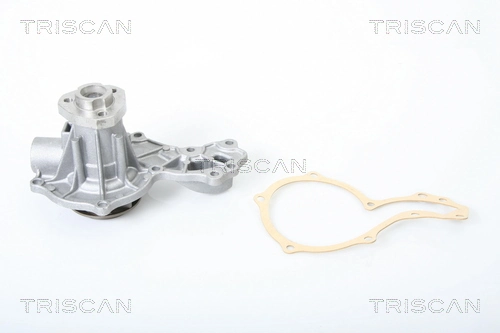 860029005 Triscan
