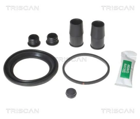 8170206003 Triscan