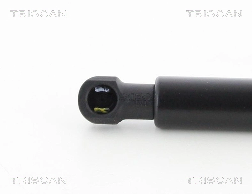 Comprar 51249808987 BMW Amortiguador de puerta trasera