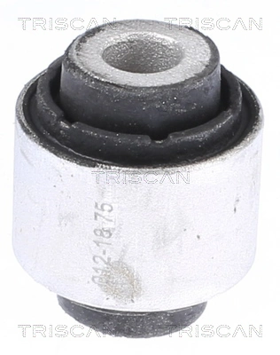 8500298060 Triscan