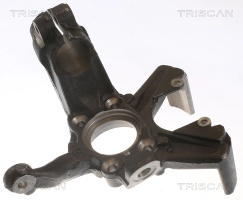 850029713 Triscan