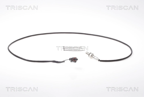 884524067 Triscan