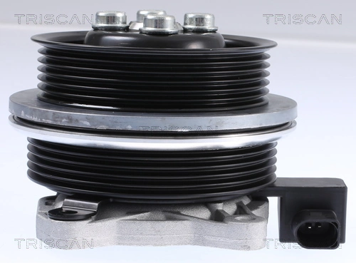 Bombeadora de agua Triscan 860029062 precio, desde 185,57 EUR