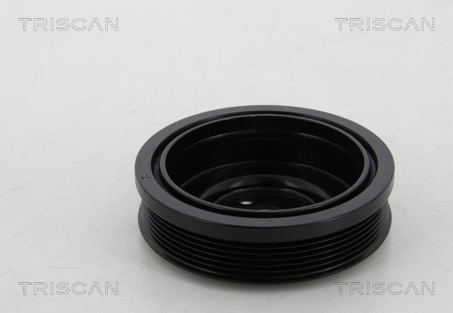 Polea del cigüeñal Seat Leon II hatchback (1P1) (2005 - 2013) precio, desde 42,15 EUR