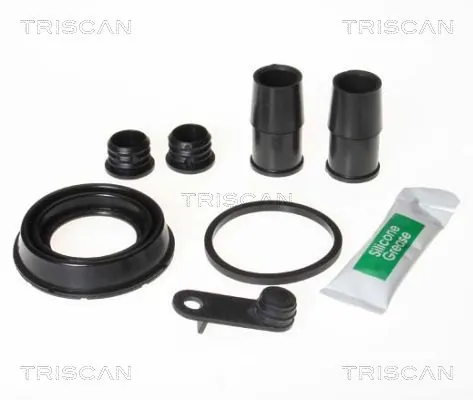 8170204221 Triscan
