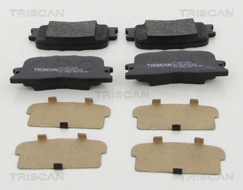 811013110 Triscan