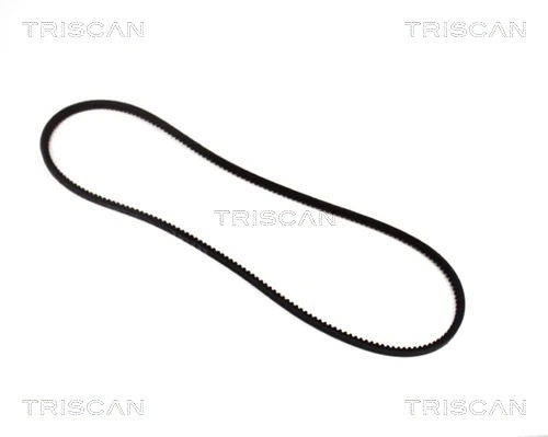 8640100800 Triscan