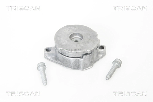 Tensor de la correa trapecial Seat Toledo I sedán (1L) (1991 - 1999) precio, desde 37,53 EUR