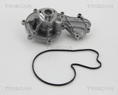 860029058 Triscan