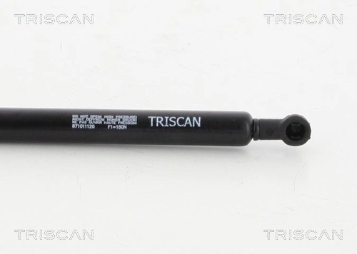 Muelle neumático, tapa delantera BMW 7 sedán (E65, E66, E67) (2001 - 2008) precio, desde 17,06 EUR