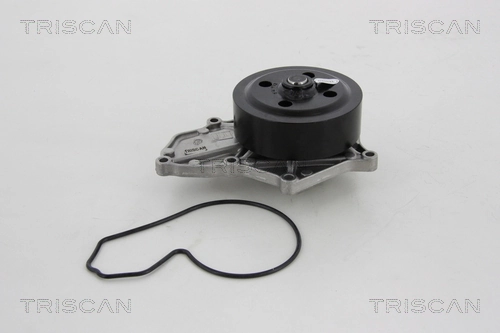 860040116 Triscan