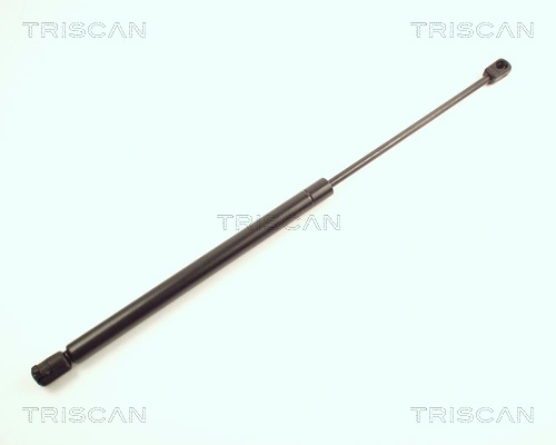 Muelle neumatico maletero para Renault 19 I (B53, C53)