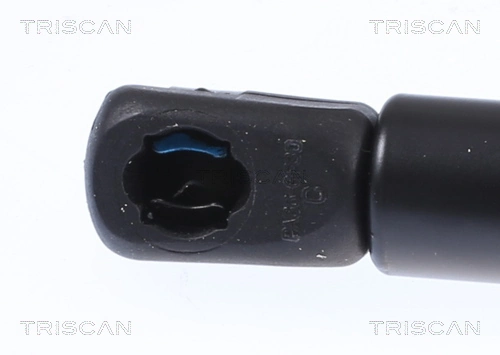 Muelle de capó  para Audi Q5  FYB, FYG