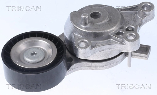 8641103054 Triscan