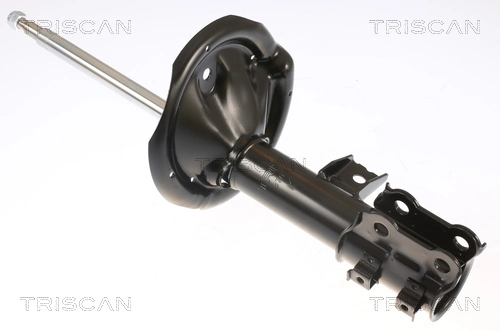 870543103 Triscan