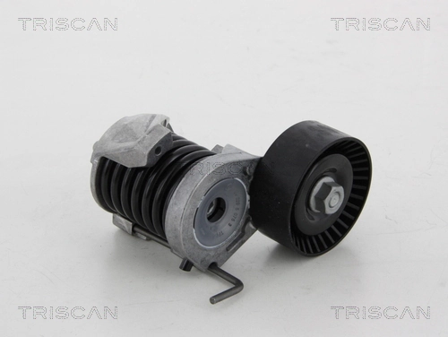 8641113038 Triscan