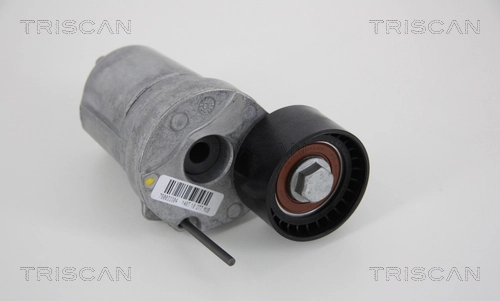 Tensor de la correa trapecial poli v Magneti Marelli MPQ1201