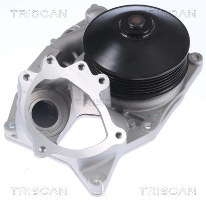 860011051 Triscan