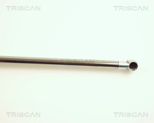 Amortiguador de maletero Triscan 871025208 precio, desde 18,85 EUR
