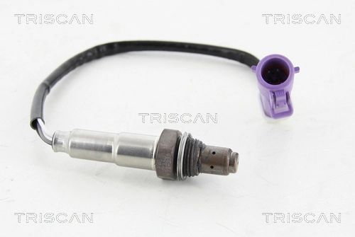 884516028 Triscan