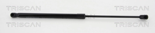 Amortiguador de porton para Citroen C4 II B7