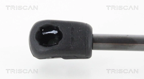 GS1344 Magneti Marelli Amortiguador de porton