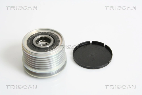  Polea alternador Renault Clio 3