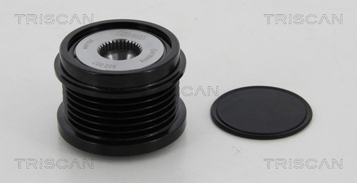 8641274009 Triscan