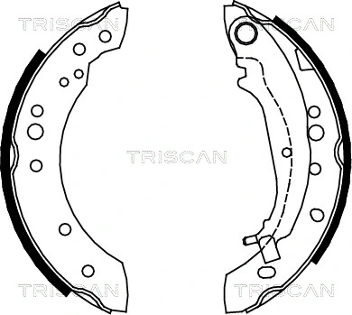 810042020 Triscan