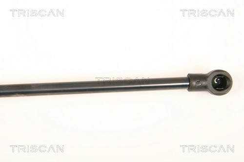 Amortiguador de maletero Renault Laguna III hatchback (BT0, BT1) (2007 - 2015) precio, desde 12,74 EUR