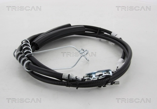 8140161136 Triscan