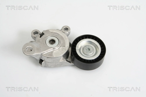 8641293019 Triscan