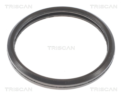 Comprar 862010588 Triscan Termostato