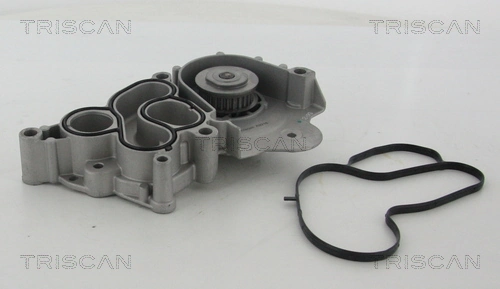 860029061 Triscan