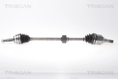 854013534 Triscan