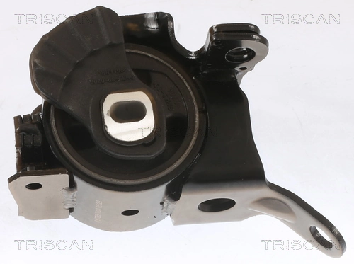 850550100 Triscan